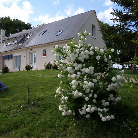 Bienvenue A L'Andruere Bed & Breakfast Cheillé Eksteriør bilde
