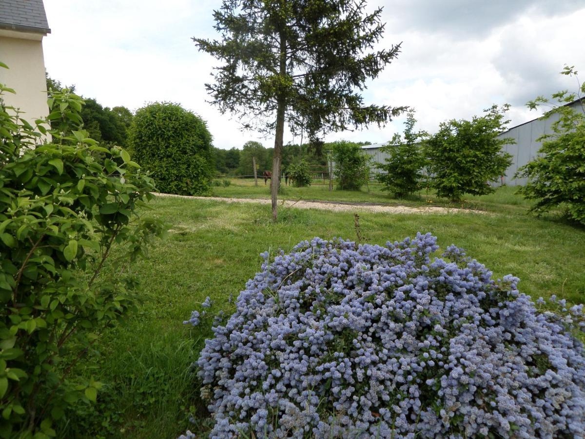 Bienvenue A L'Andruere Bed & Breakfast Cheillé Eksteriør bilde